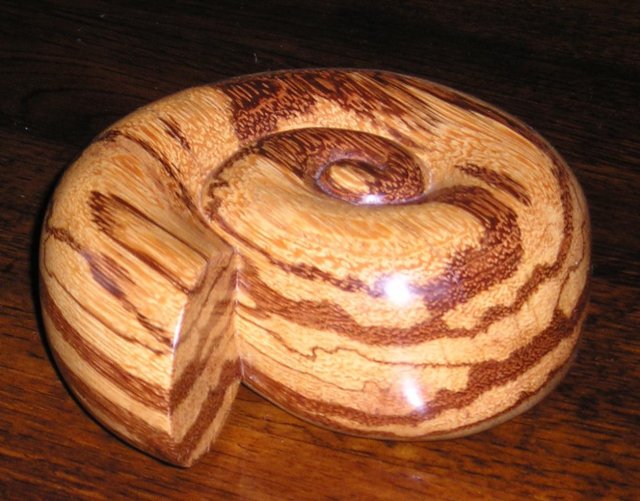 ammonite.jpg