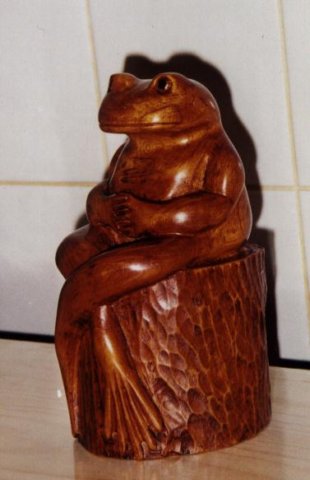 frogthinking.jpg
