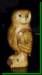 owl_small.jpg