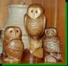 owls_small.jpg