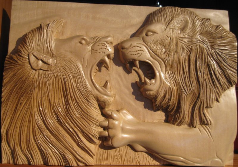 lionsfighting.jpg