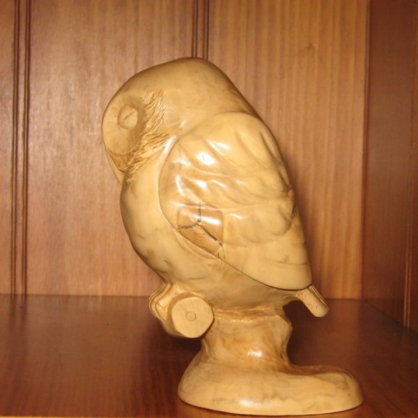 styalisedlittleowl.jpg