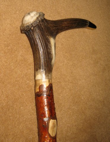 antlercoronetwalkingstick.jpg