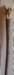 rootheadthumbstick_small.jpg